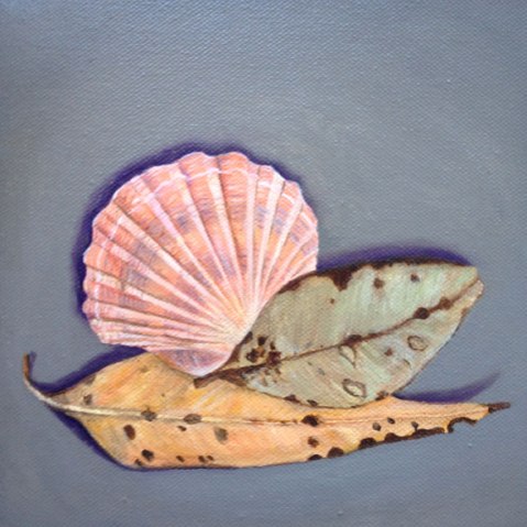 Two-leaves-and-a-shell
